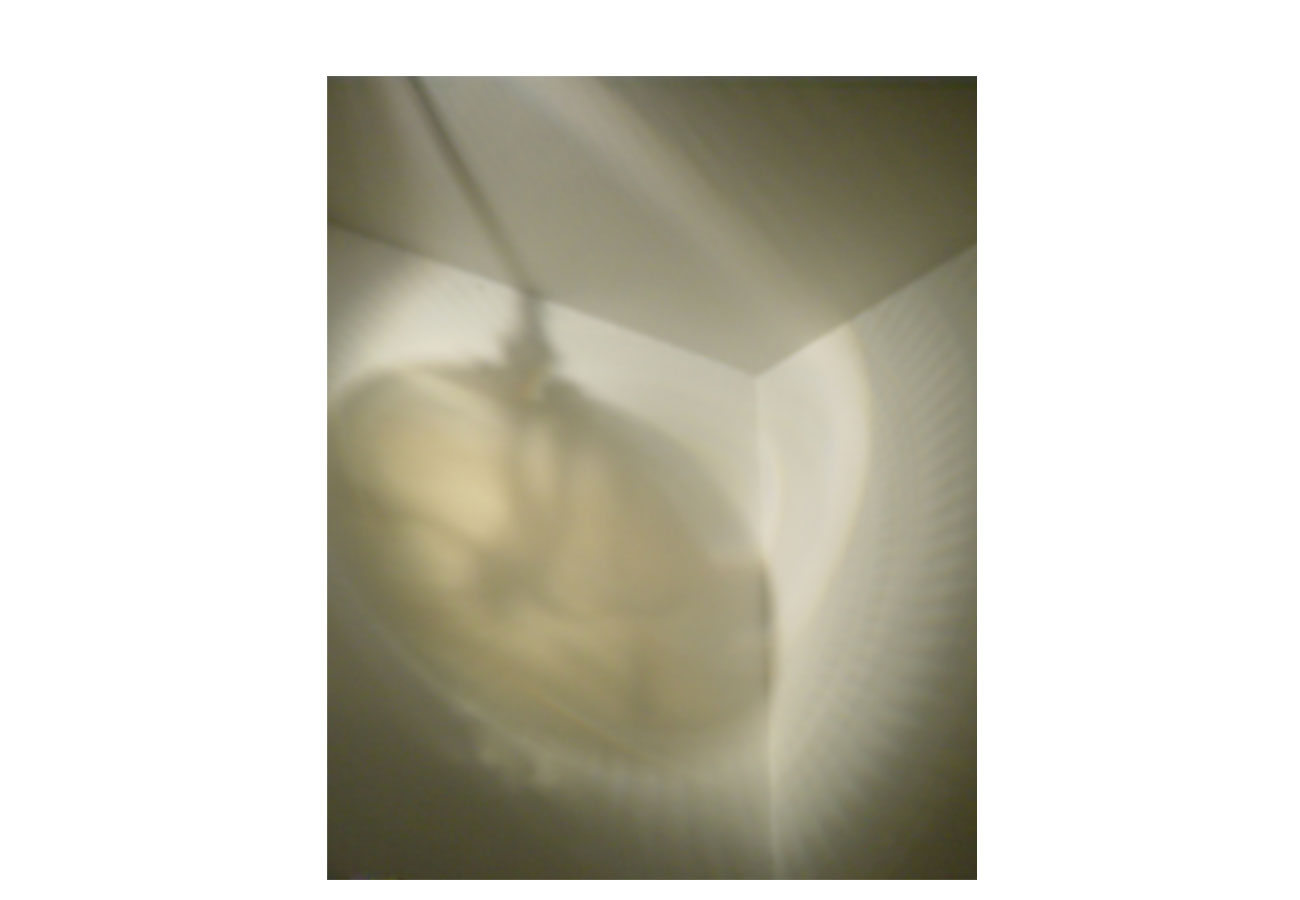 bild_01